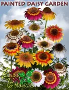 Lisa's Botanicals - Painted Daisy Garden