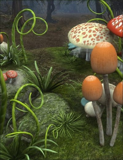 mushroom-magic-large-1