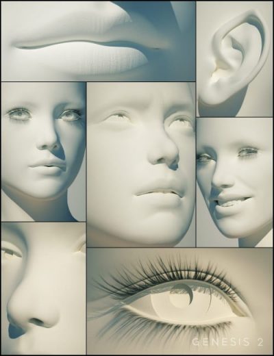 product-page_gen2fem_headmorphs