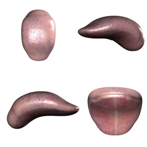 Sexy Tongue II for V4/A4