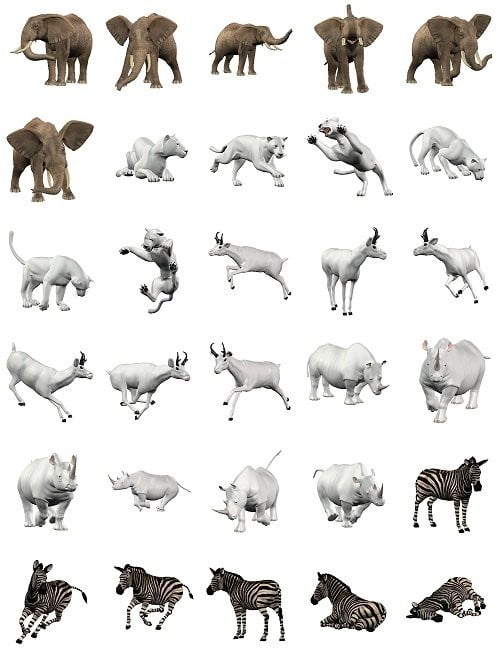 Safari Animals Poses