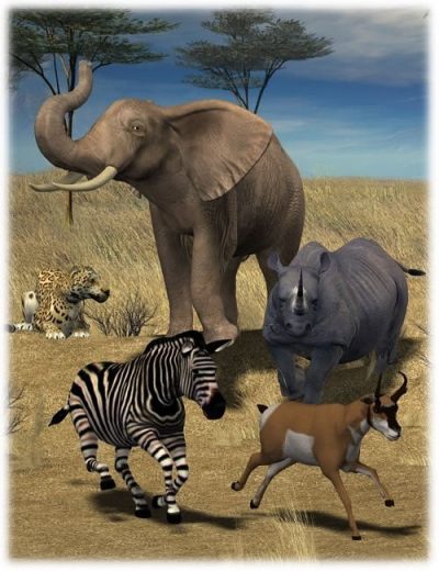 safari-animals-poses-large-1