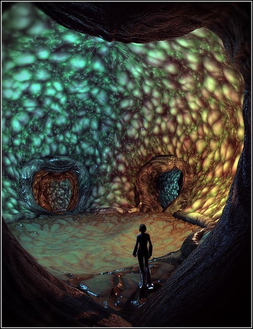 The Protohive The Protohive