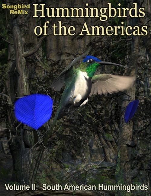 Songbird ReMix: Hummingbirds of South America Songbird ReMix: Hummingbirds of South America