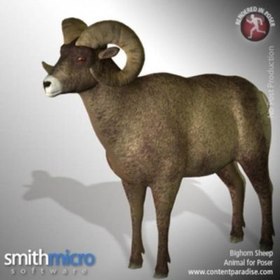 Animals_Bighorn_Sheep_01