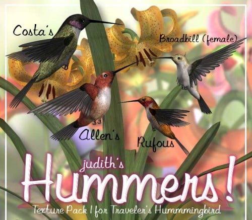 Judith?s Hummer Textures Vol 1