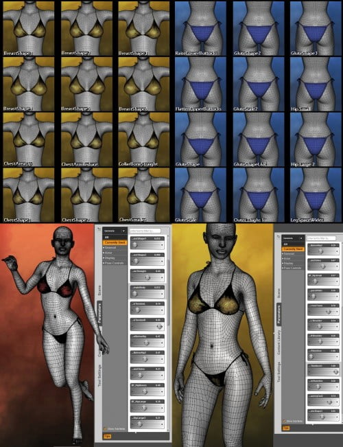Genesis Body Morph Resource Kit 1