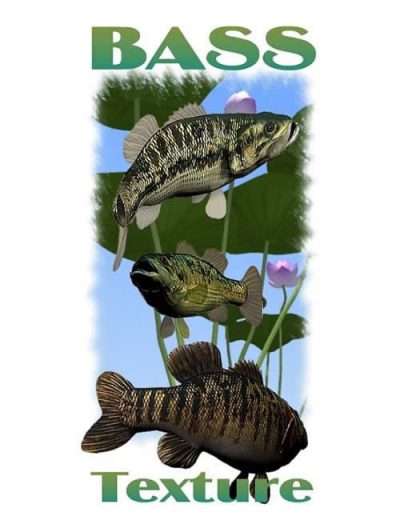 bass-fish-expansion-mappak-large-2