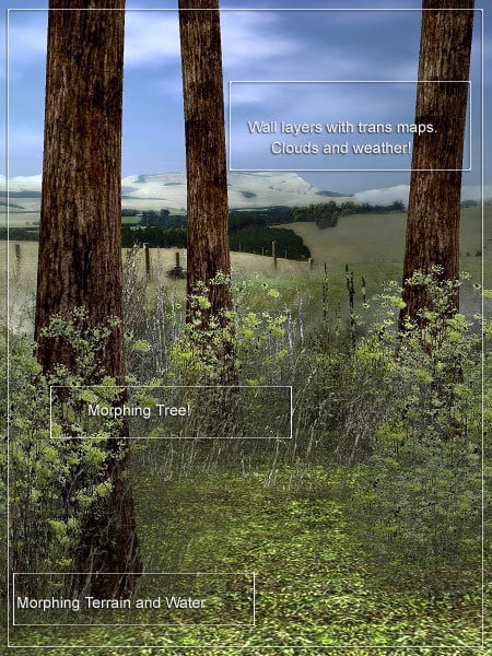 Millennium Environment