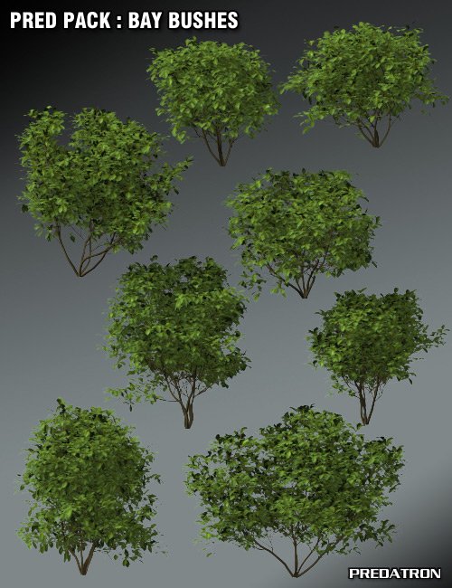 Pred Pack - Bay Bushes