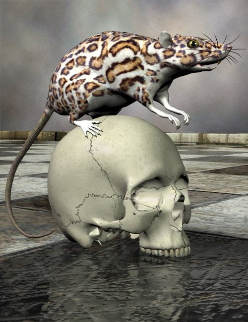 Noggin's Fantasy Rats