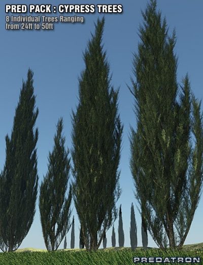 pred-pack-cypress-trees-large-1