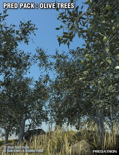pred-pack-olive-trees-large1