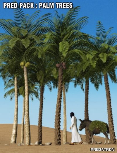 pred-pack-palm-trees-large