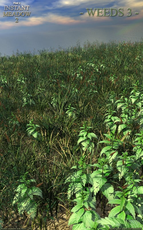 Flinks Instant Meadow 2 - Weeds 3