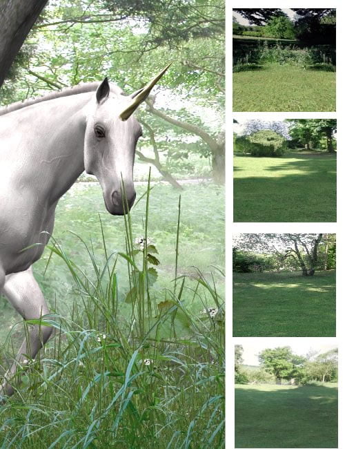 Woodland & Garden Settings