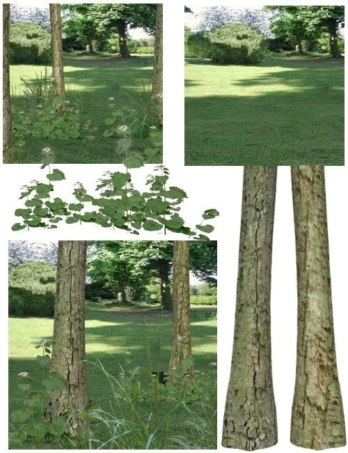 Woodland & Garden Settings