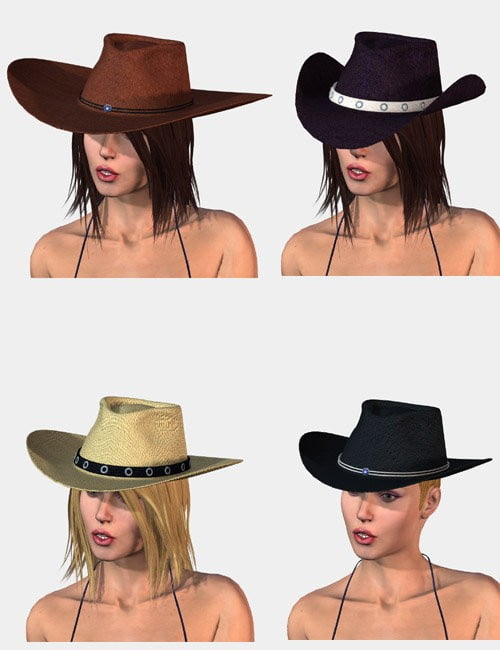 Western Hat with Hair