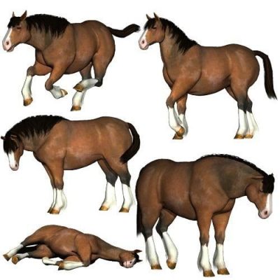 wild-frontier-charger-poses-0-1