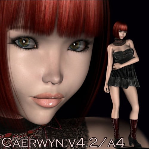 Caerwyn V4.2/A4