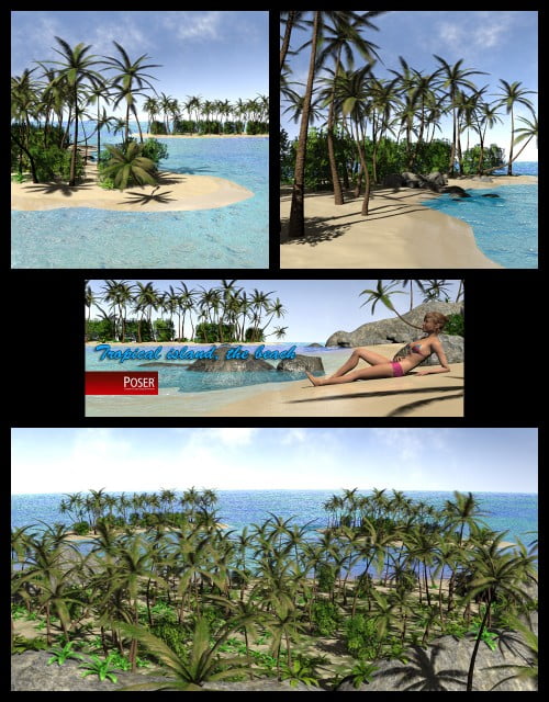 Tropical island, the Beach