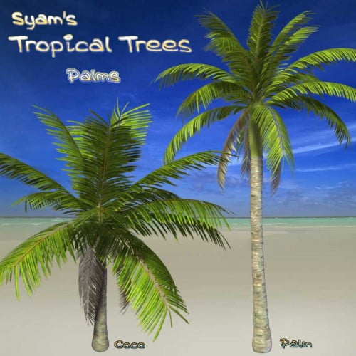 Syam's Tropical Trees - Palms