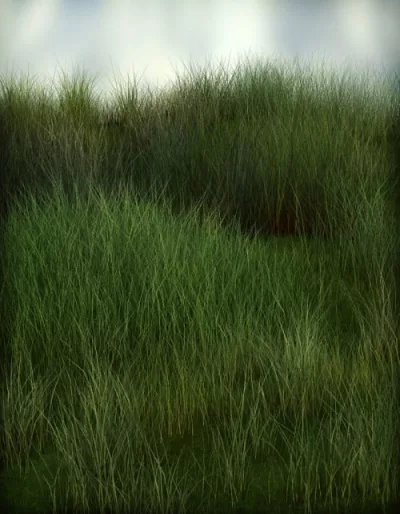 main_54_3