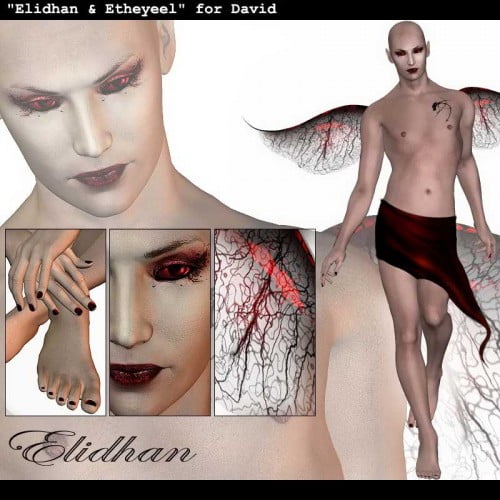 Elidhan & Etheyeel for David