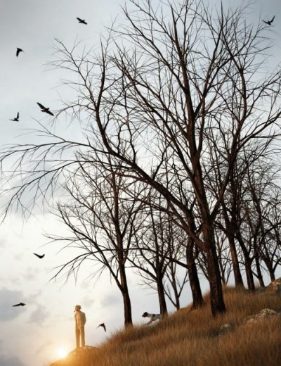 01_darktreespack1_mainpromo