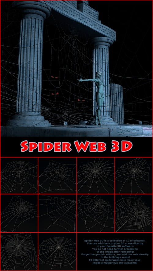 Spider Web 3D Spider Web 3D