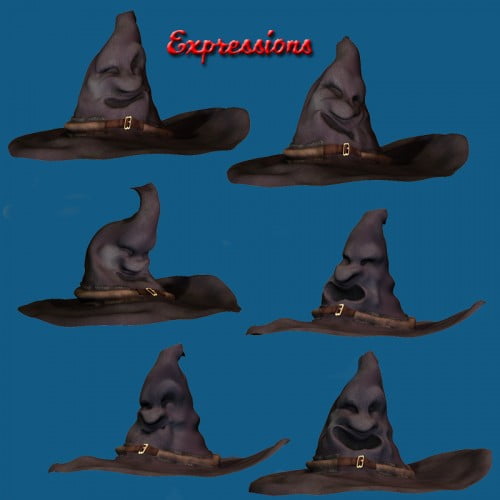 The Magic Witch Hat