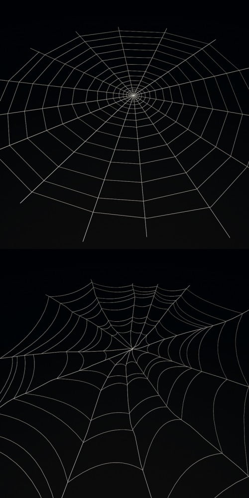 Spider Web 3D