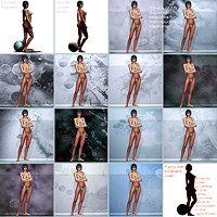 The Private Collection