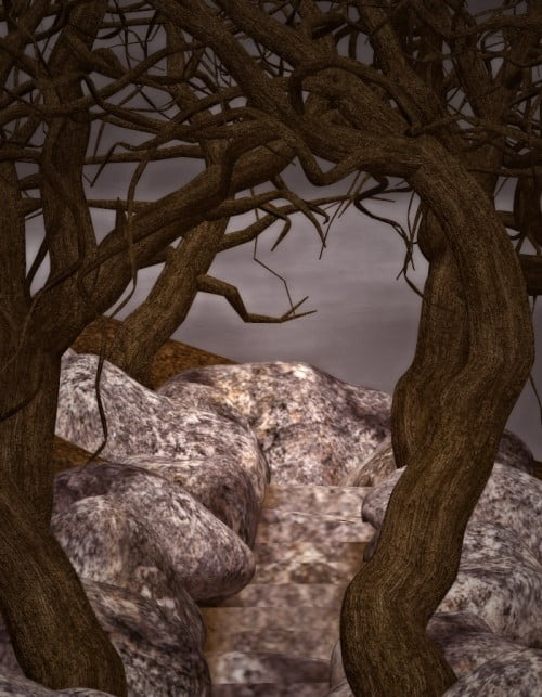 Widow's Woods: Stairs Widow's Woods: Stairs