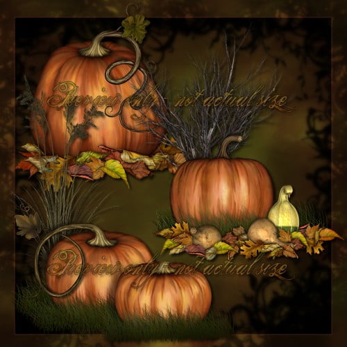 Lucie's Painted Pumpkins