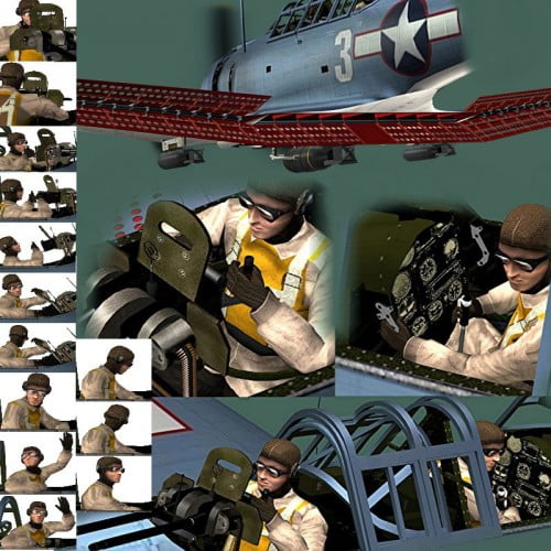 Dive Bomber D Package