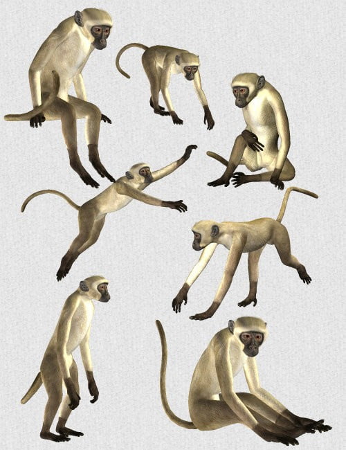 SilverKey 3d Monkey