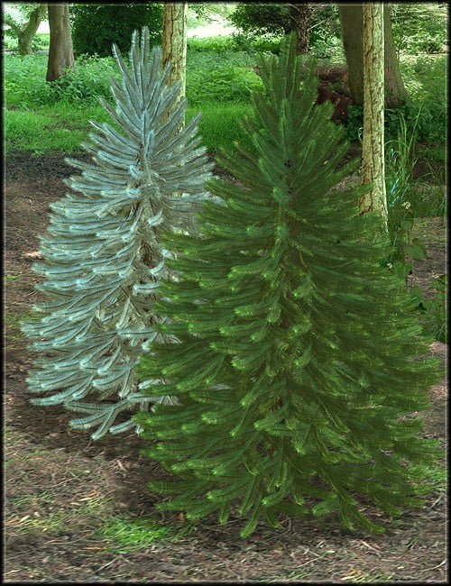 Yuletide Treasure Tree 2011