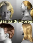Garibaldi Express Beta 12