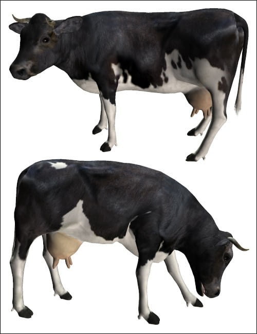 Noggin's Cow