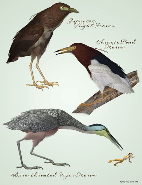 Songbird ReMix: Shorebirds Volume II