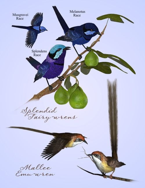 Songbird ReMix: Australia Volume I