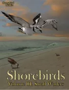 Songbird ReMix: Shorebirds Volume III