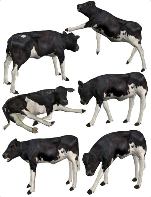 Noggin's Bull and Calf