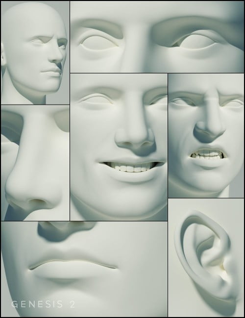 Genesis 2 Male Head Morphs