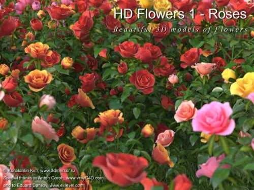 3DMentor - HD Flowers vol. 1 - Roses