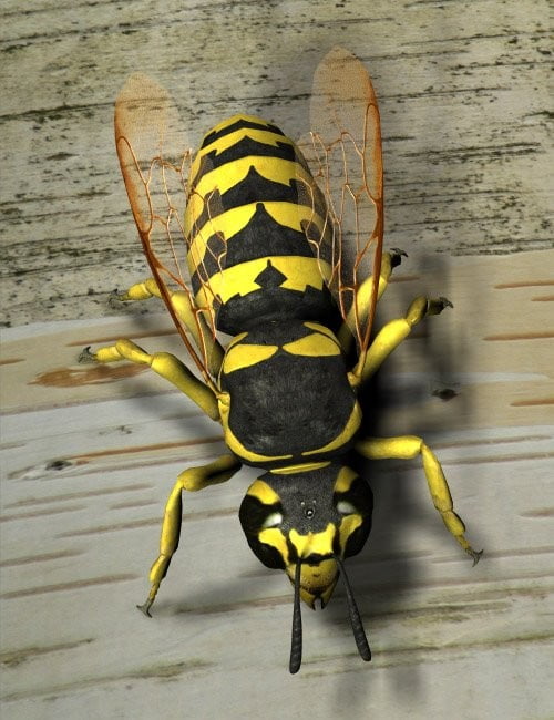 Ultimate Wasp Collection