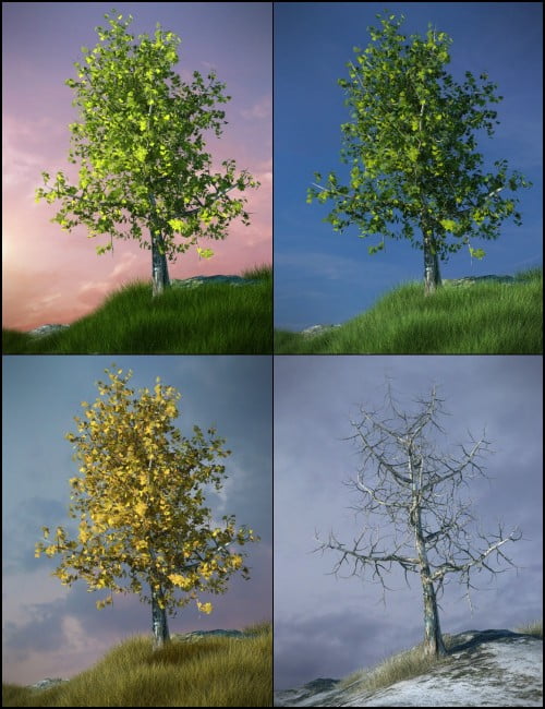 Maple Tree Pack 1