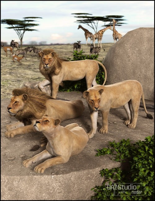 Mighty King Poses for the DAZ Lion