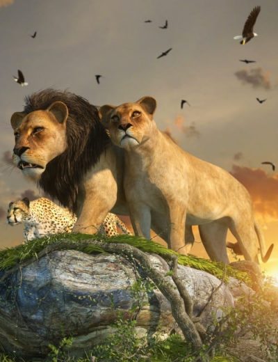 product-page_dazbigcat2